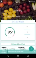 Indian GM Weight Loss Diet BMI