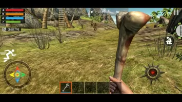 Raft Survival Forest 2