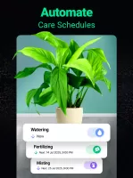 Plantum - Plant Identifier
