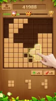 Wood Block Puzzle Addictive