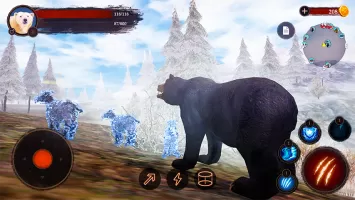The Bear