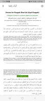 ruqyah mp3 offline