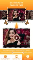 Video Splitter