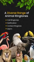 Animal Ringtones & Wallpapers