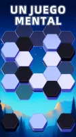 Hexa Puzzle Game: Color Sort