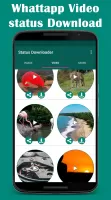 Status downloader Video Image