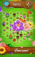 Blossom Blast Saga