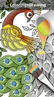 Garden Coloring Book