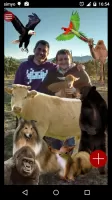 Real Animals Photo Stickers