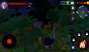 The Ostrich