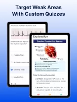 NCLEX PN Mastery 2025