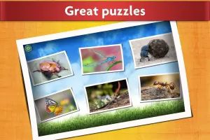 Insect Jigsaw Puzzle Game Kids