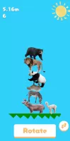 Animal Tower