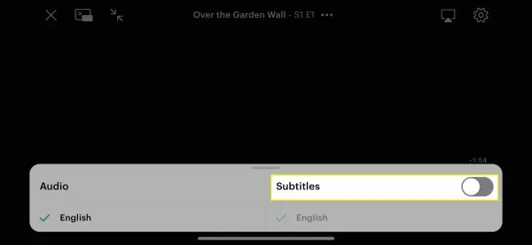 How to Use Hulu Subtitles？