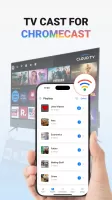 Screen Cast: Bluetooth Manager