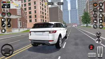 Expert Car Steer Academy
