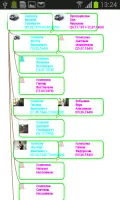 The Family Tree of Family