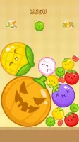 Merge Melon