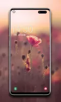 Spring Wallpaper