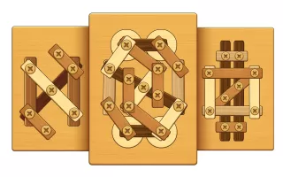 Screw Puzzle