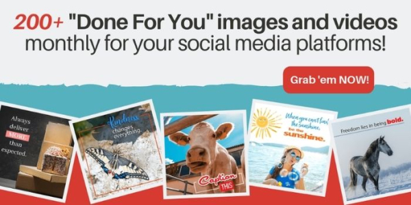 Quotes Videos & Pictures