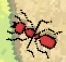 Pocket Ants: Colony Simulator