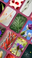 Pix Launcher