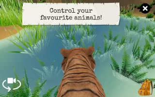 Wild Animals VR Kid Game