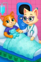 Cute Kitty Cat Pet Care