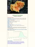 Shroomify
