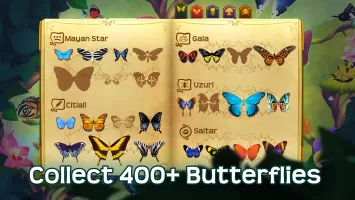 Flutter: Butterfly Sanctuary