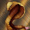 Mountain Rattlesnake