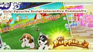 Hi! Puppies2