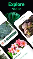 Plantum - Plant Identifier