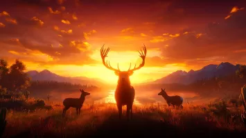 The Wolf Simulator