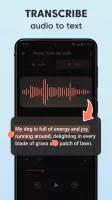 Sound Recorder Plus
