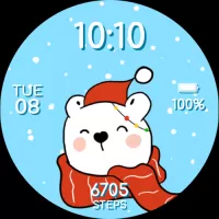 Facer Watch Faces