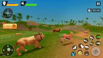 Lion Games Animal Simulator 3D