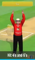 Smashing Cricket: cricket game