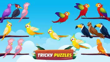 Bird Sort - Color Birds Game