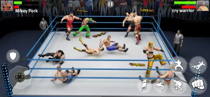 Tag Team Wrestling Game