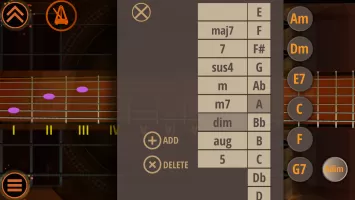 Acoustic Guitar