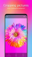 Flower Wallpapers 4K