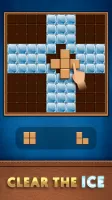 Brain Wood Puzzle