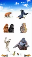 Animal Sounds