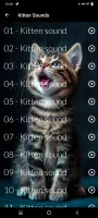 Cats sounds