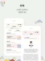 신비운 - 2026운세, 사주, 타로, 궁합, 토정비결