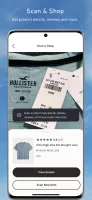 Hollister Co.