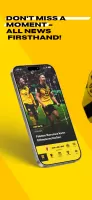 BVB