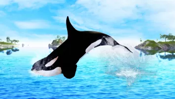 The Killer Whale